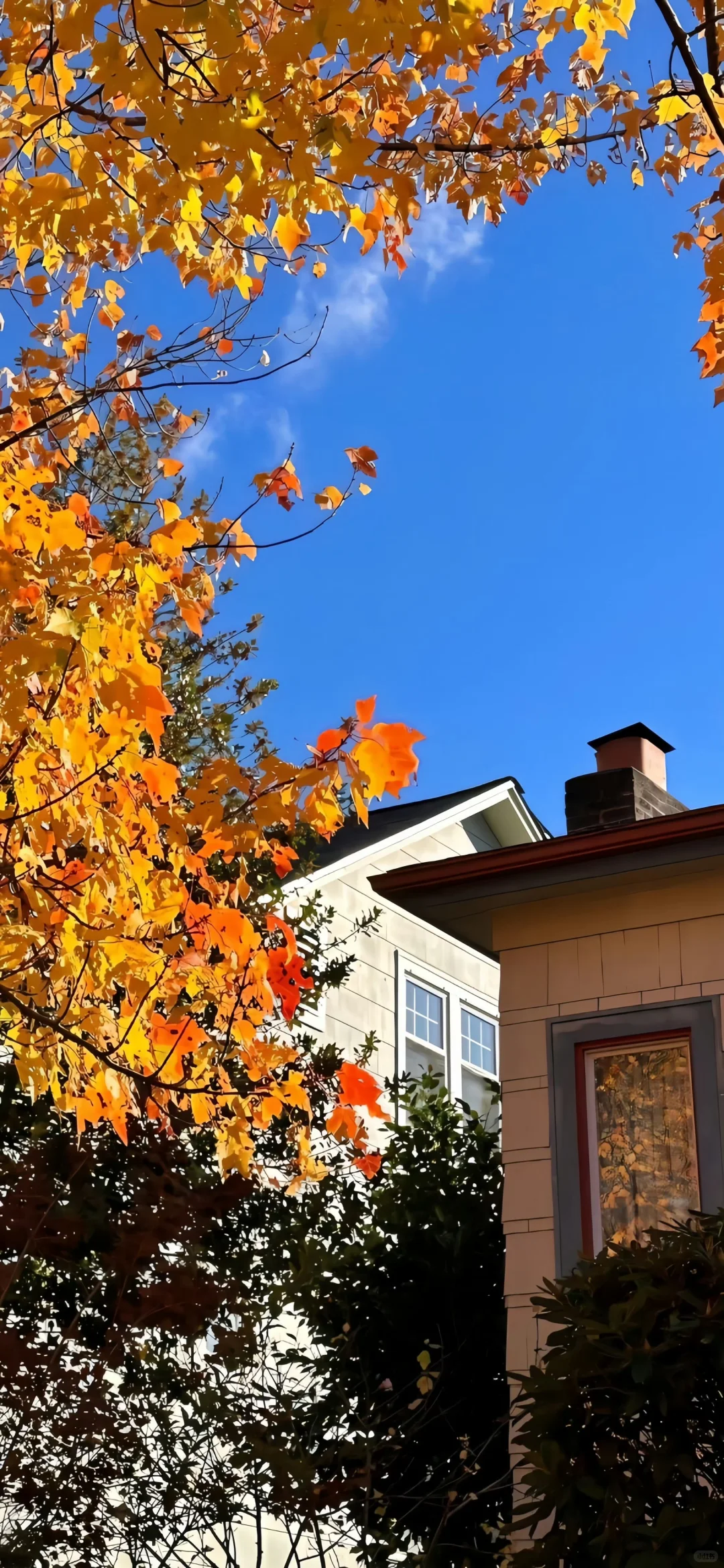 iOS26景深3D壁纸来啦～🍀