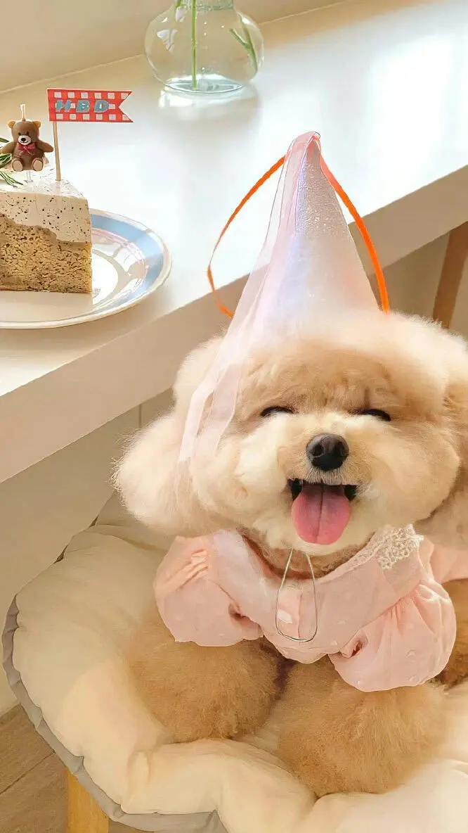 ♡Share pictures |『Ins壁纸』