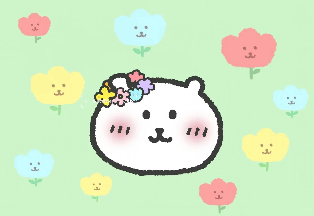 熊～可爱系iPad壁纸🐰