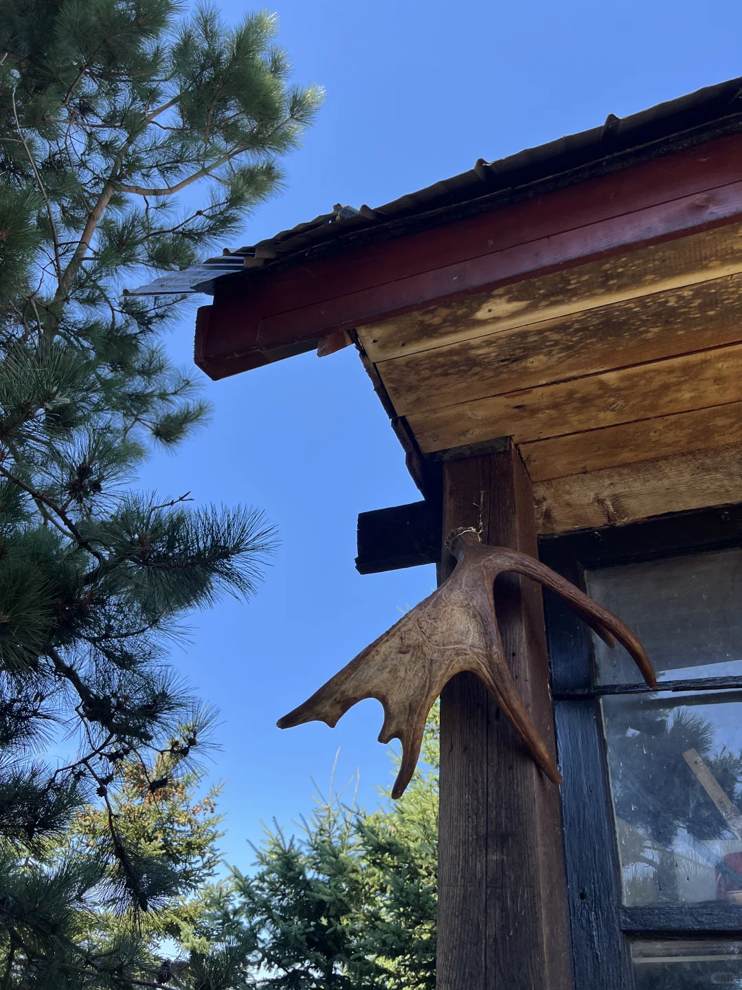 夏天要溜走啦！再不摘蓝莓分分钟蔫成表情包