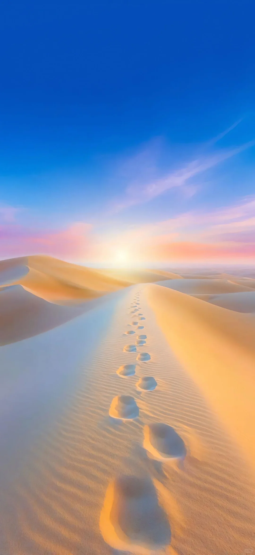 𝑠ℎ𝑎𝑟𝑒|沙漠🏜️系壁纸