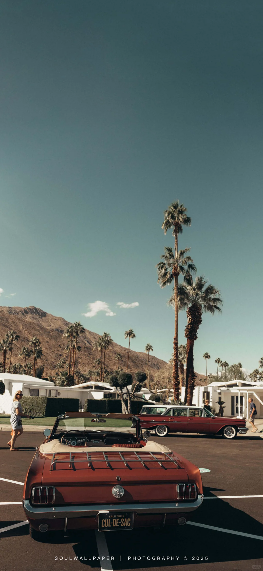 高清手机壁纸分享｜23