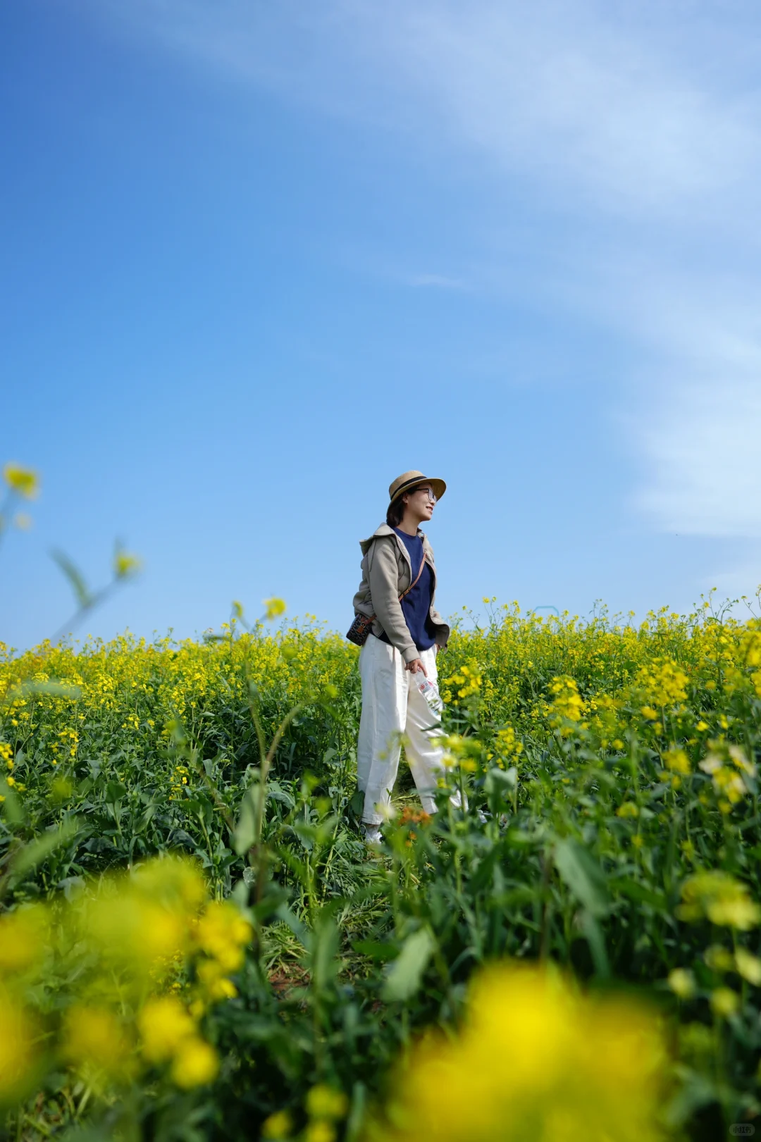 真的可以称之为花“海”的一组油菜花照片