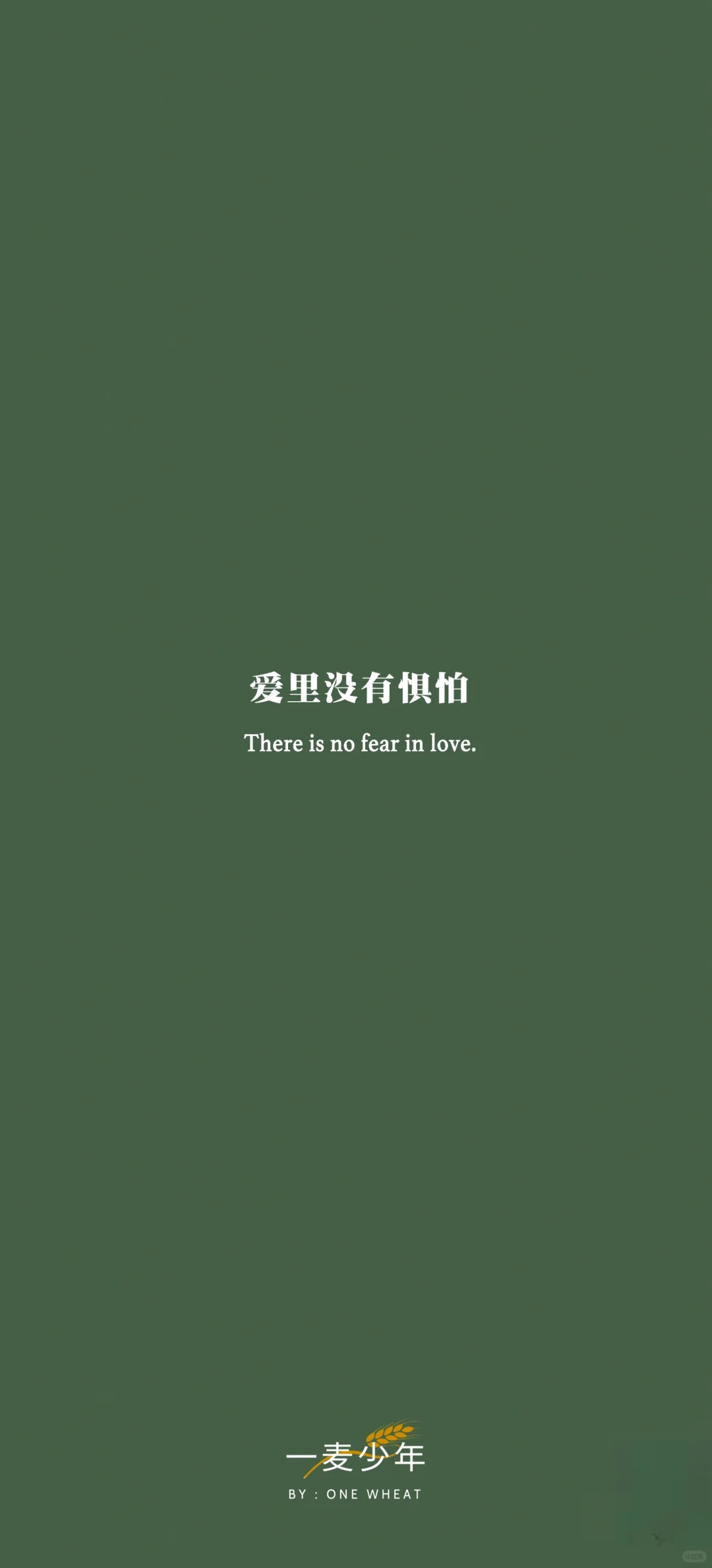 ✨壁纸丨万事都互相效力，叫爱他的人得益处