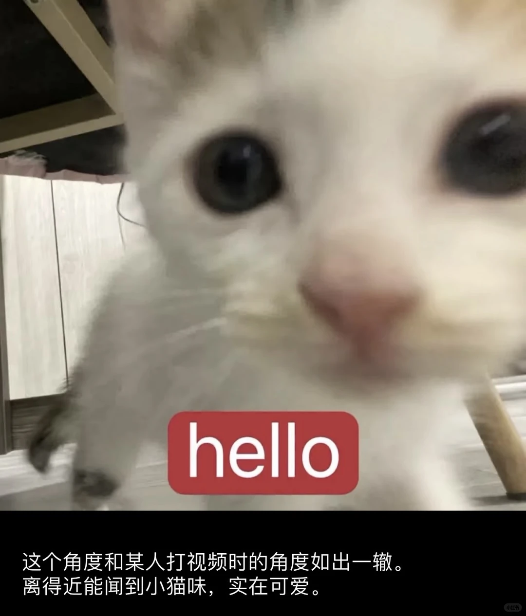 人夫黎深会把老婆发的表情包存在相册