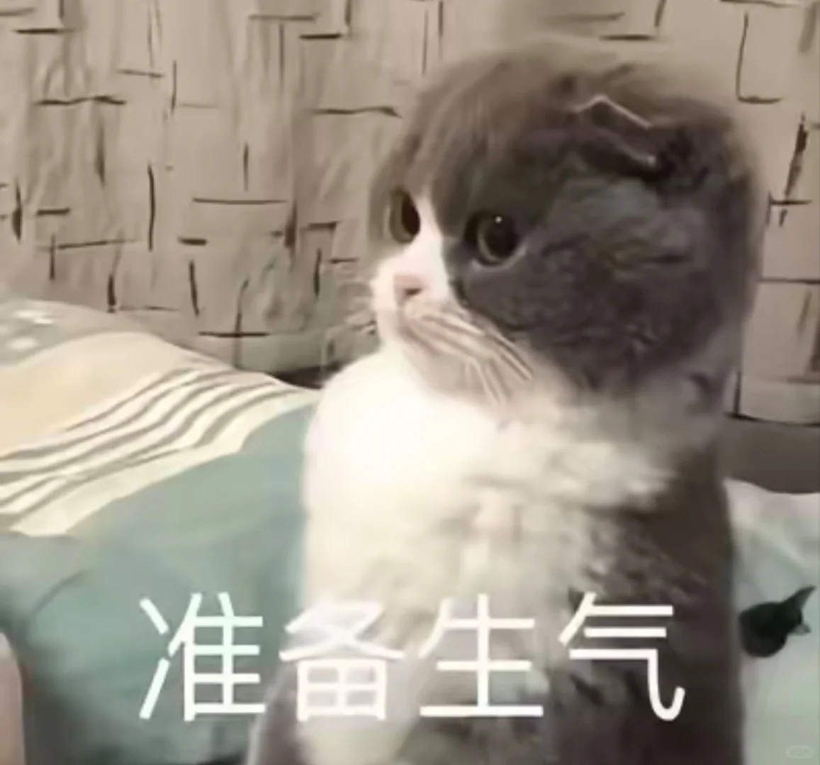 可爱猫咪表情包分享！