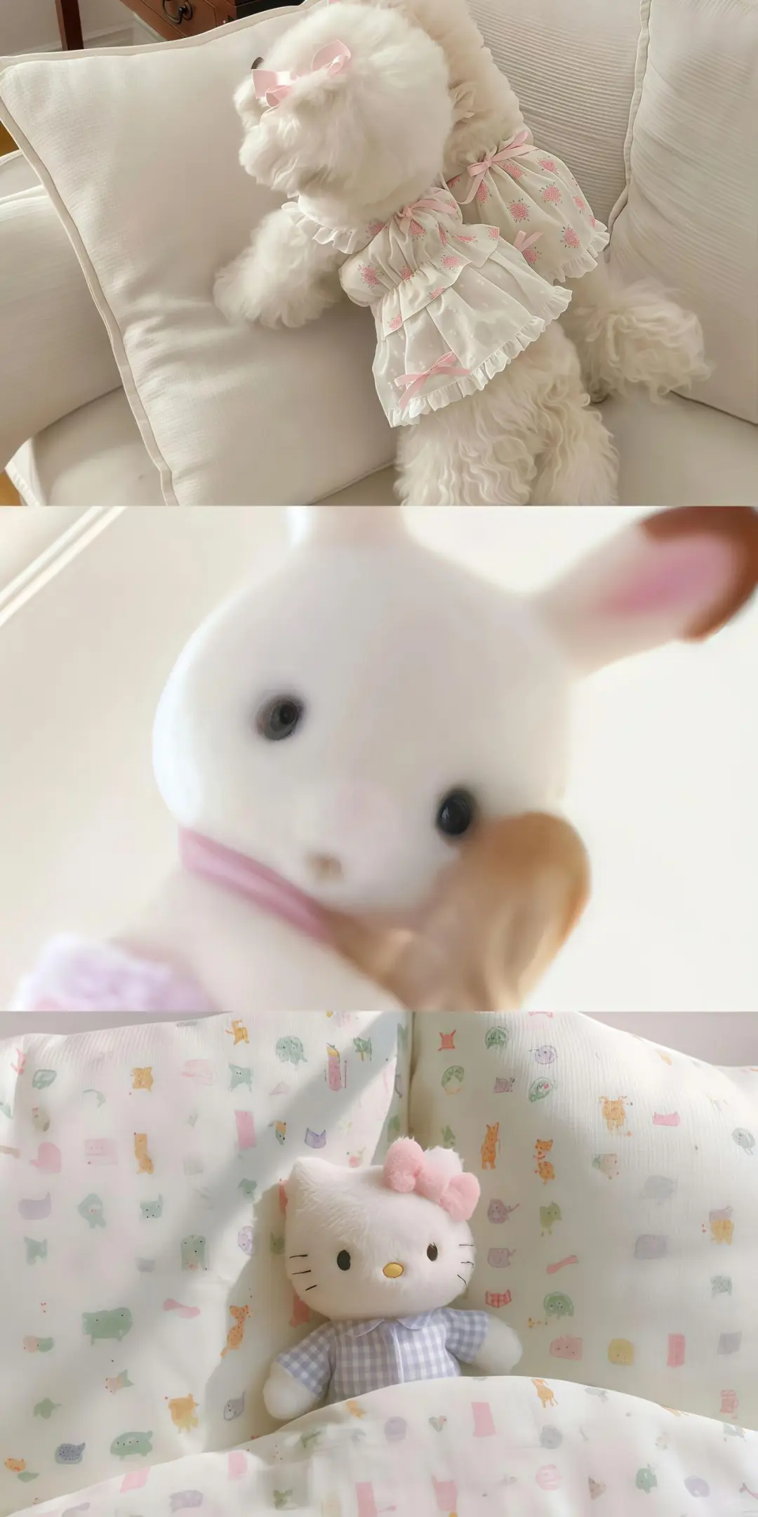 𝐬𝐡𝐚𝐫𝐞 | 可爱拼贴手机壁纸ᐝ