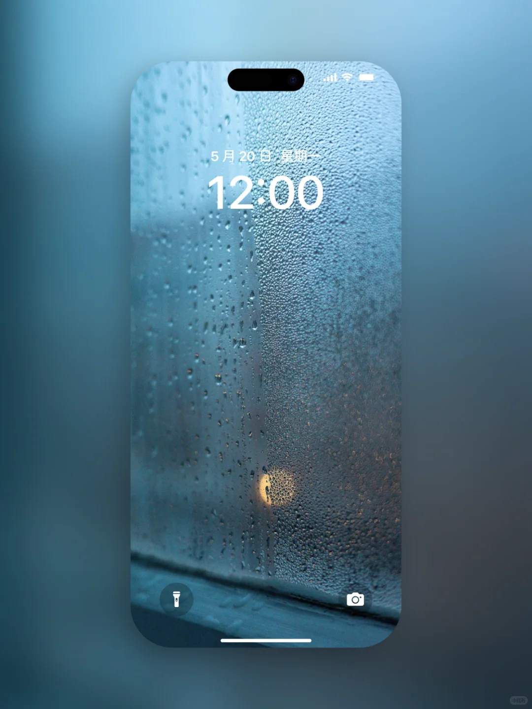 𝐒𝐡𝐚𝐫𝐞｜iPhone壁纸272期