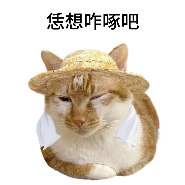 老实人专用表情包献给各位