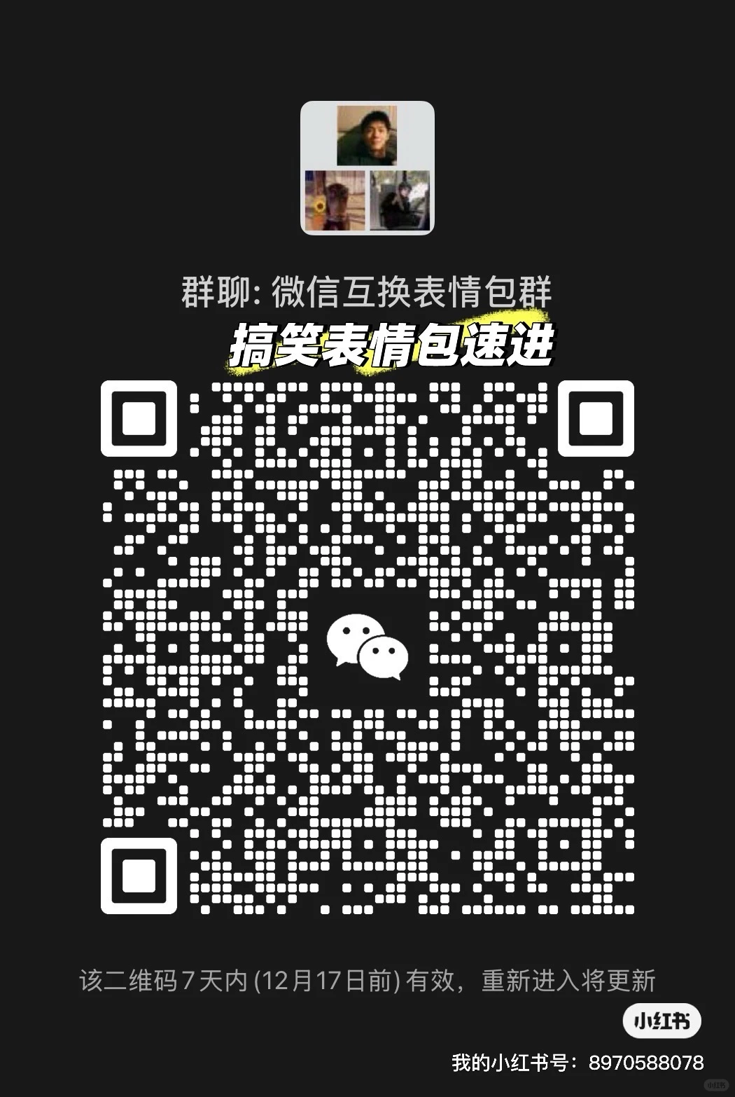 表情包微信群，速进哦