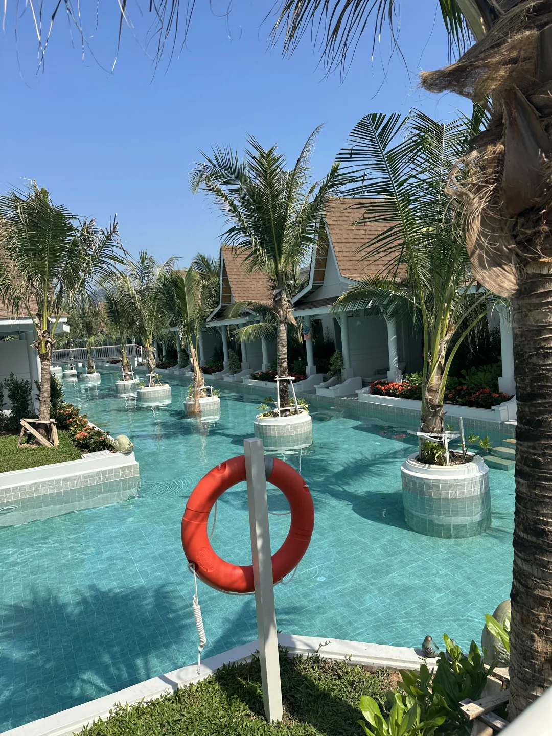 度个假叭💗✨🫧🐰