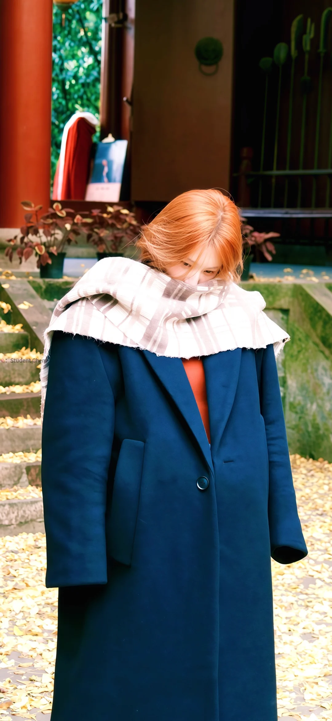 赵露思壁纸｜木质香味～🍂