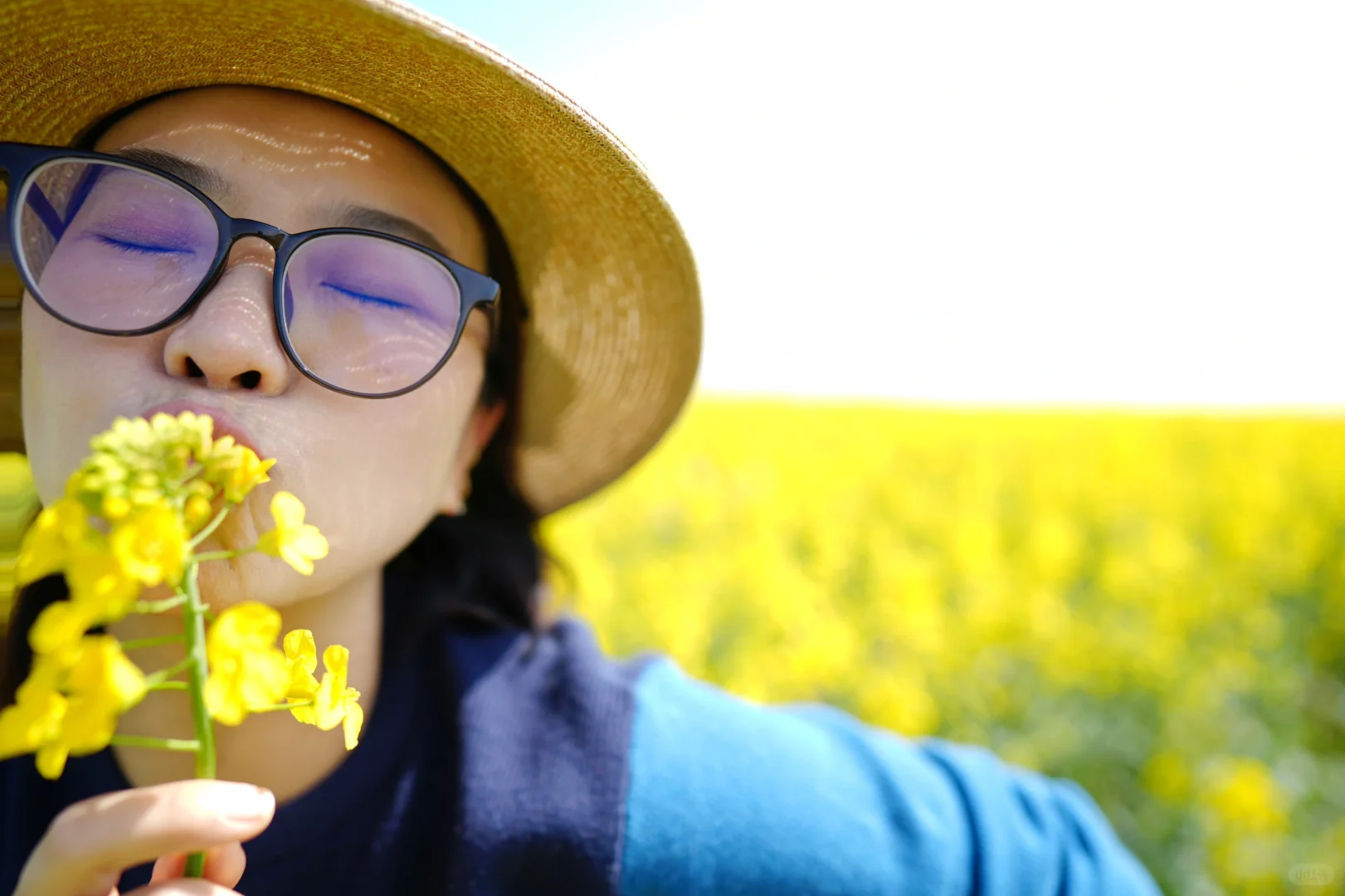 真的可以称之为花“海”的一组油菜花照片