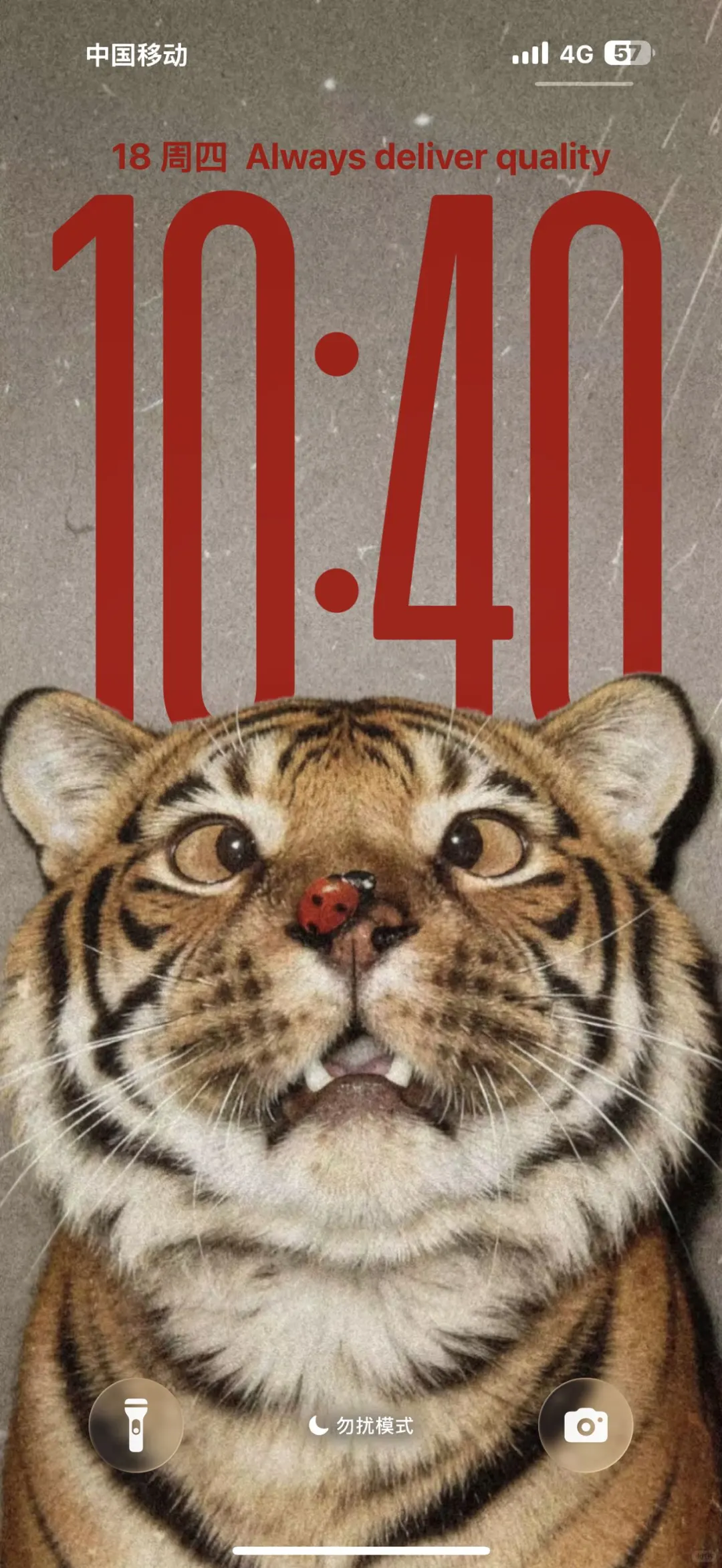 iOS26壁纸｜这壁纸好有感觉！！！😘😍