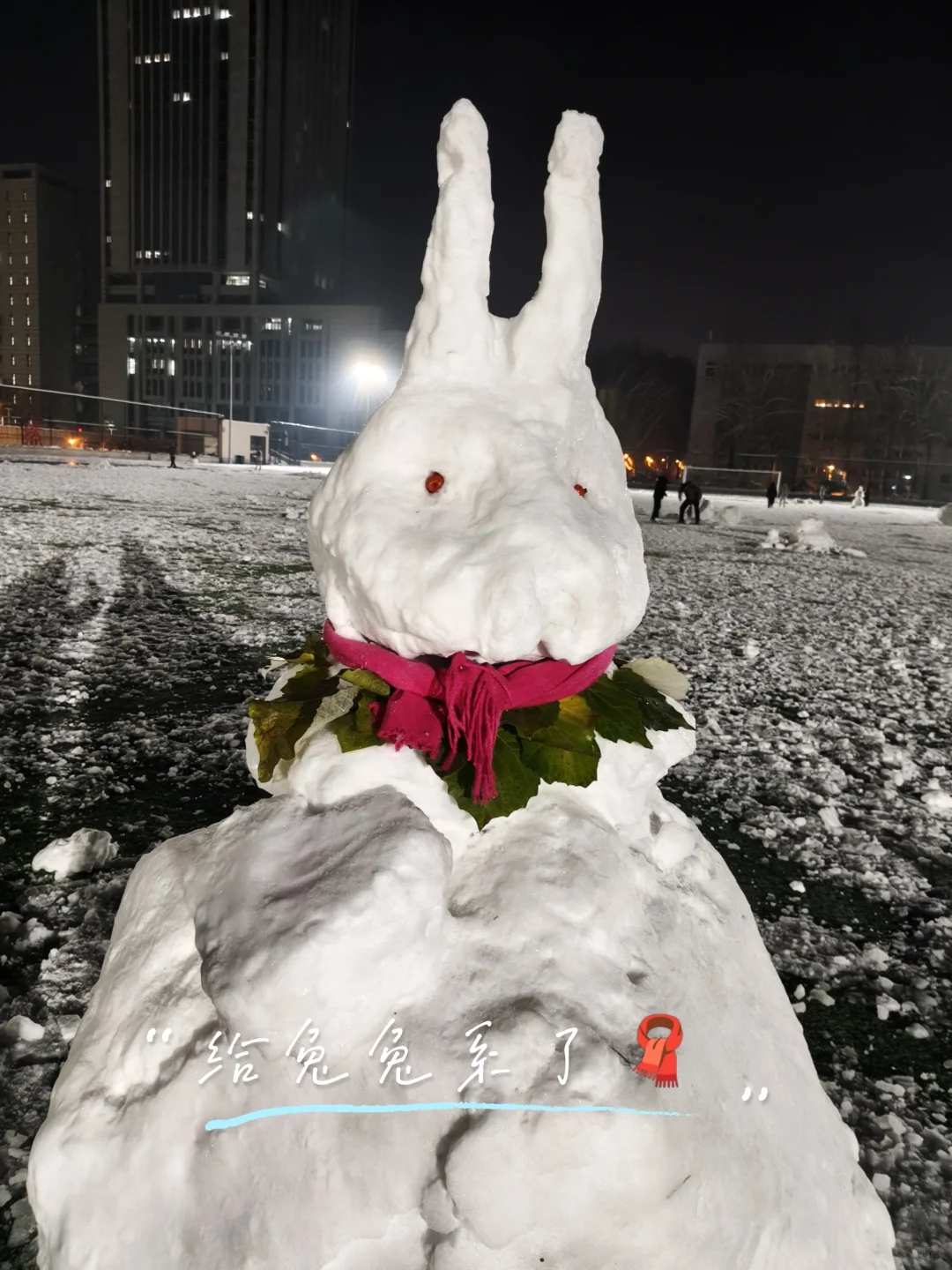 感觉雪天游泳别有雅趣