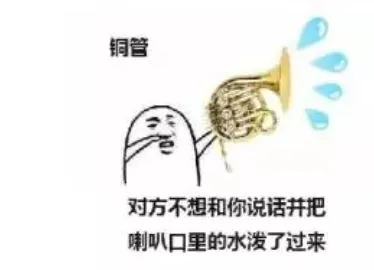 来自音乐生的表情包...