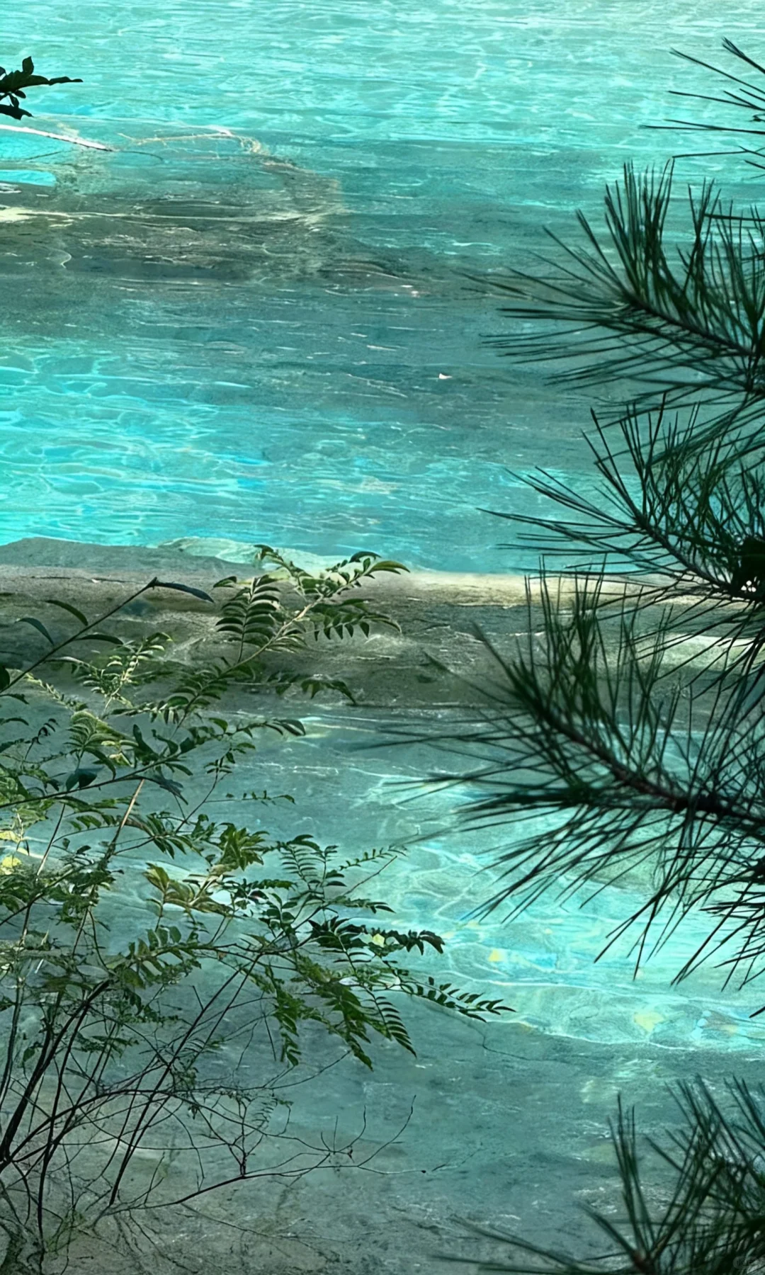 水是生命的源泉～欣赏水的魅力