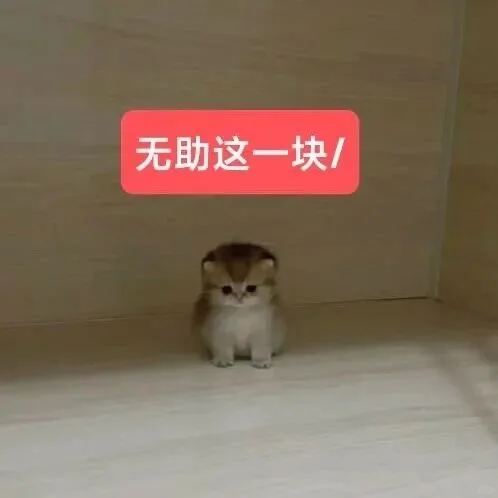 审美积累——小猫表情包