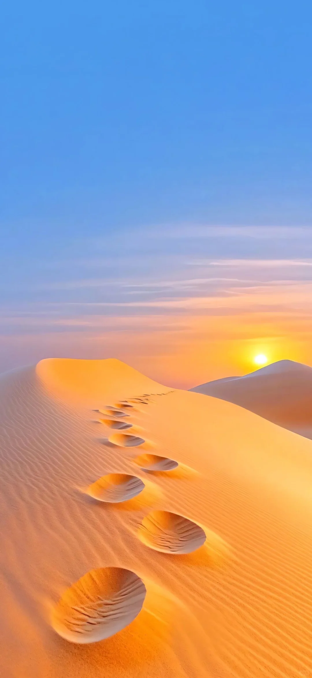 𝑠ℎ𝑎𝑟𝑒|沙漠🏜️系壁纸