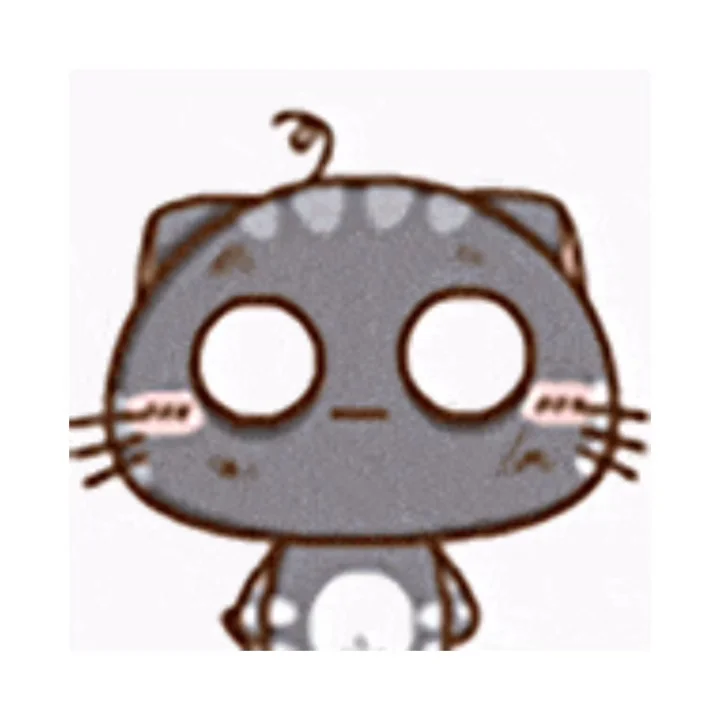 CC猫表情包｜这一路的麻辣鲜香只有自己知道