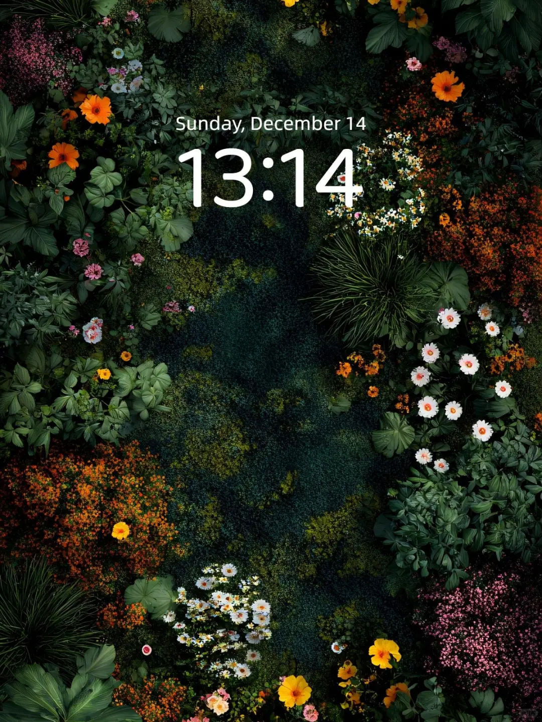 繁林秘境｜手机壁纸｜197