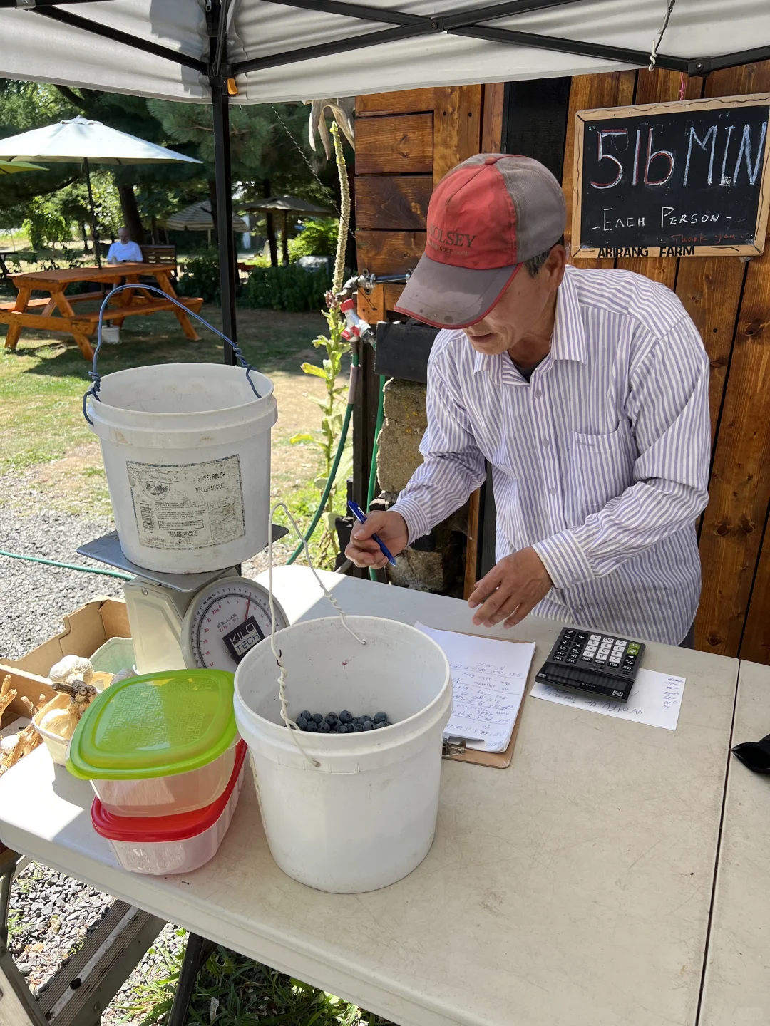 夏天要溜走啦！再不摘蓝莓分分钟蔫成表情包