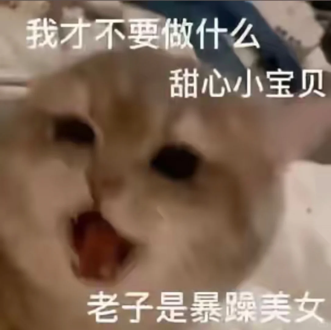 可爱猫咪表情包分享！