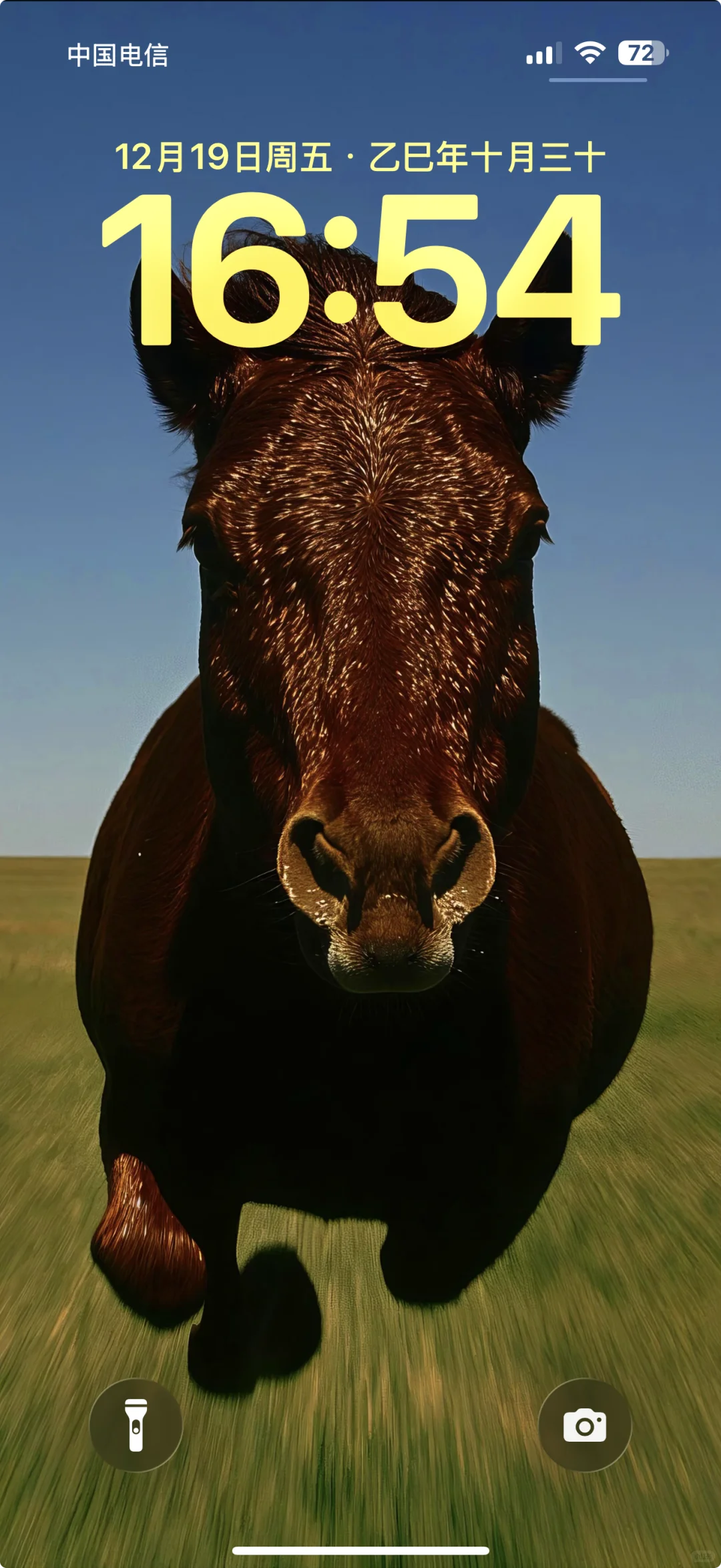 审马积累 | 这壁纸真太绝了！！！