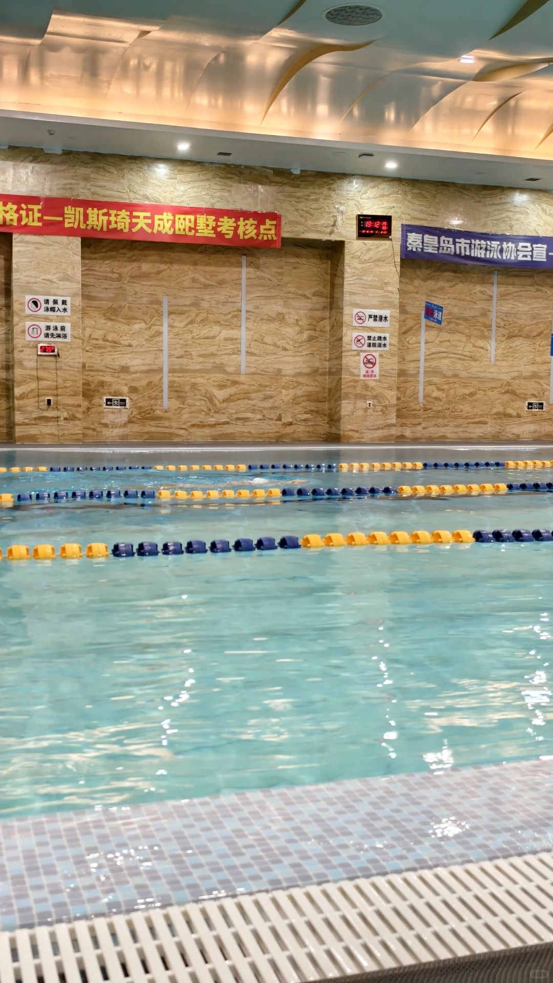 又是被自由泳累到的一天