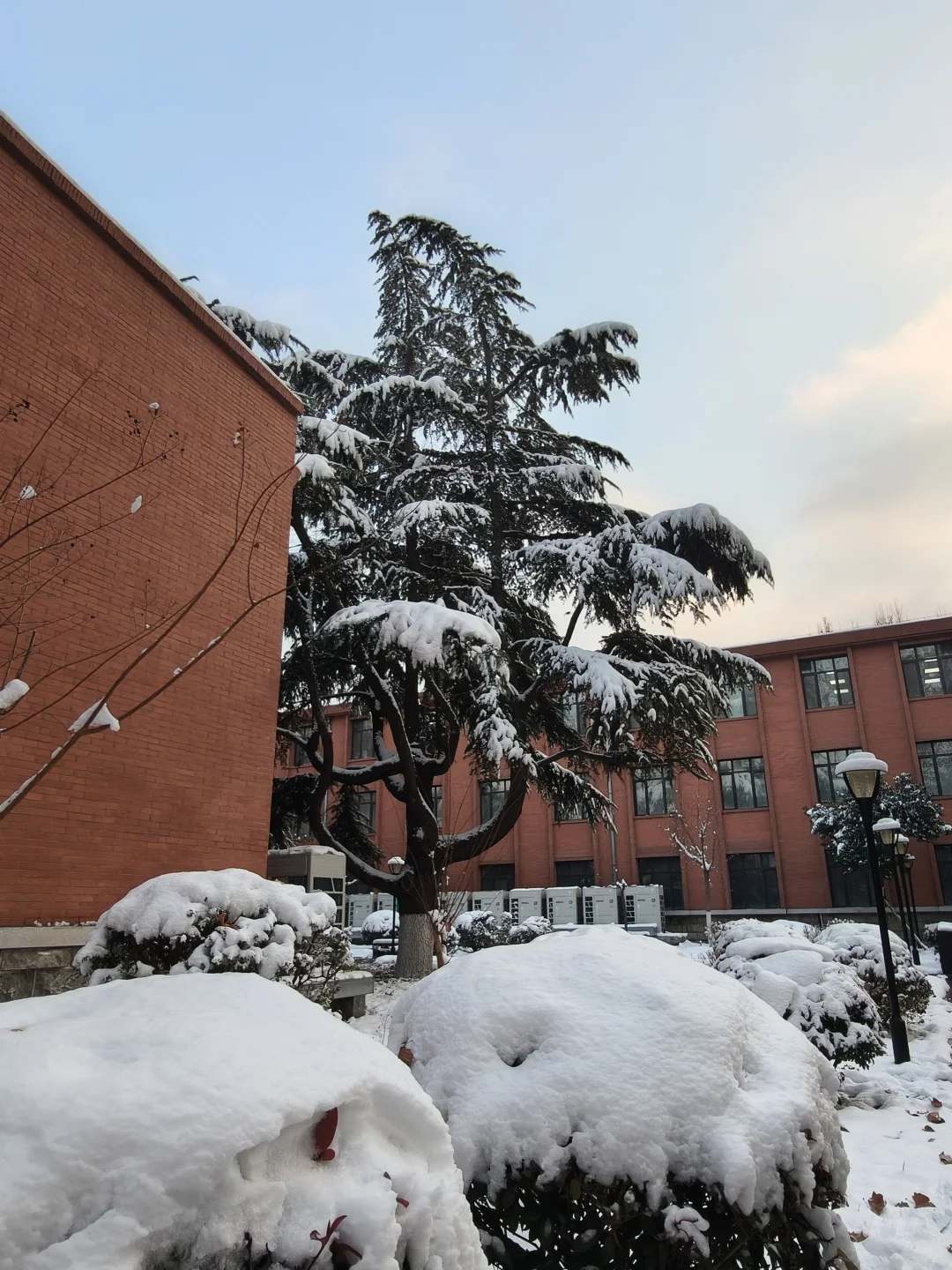 感觉雪天游泳别有雅趣