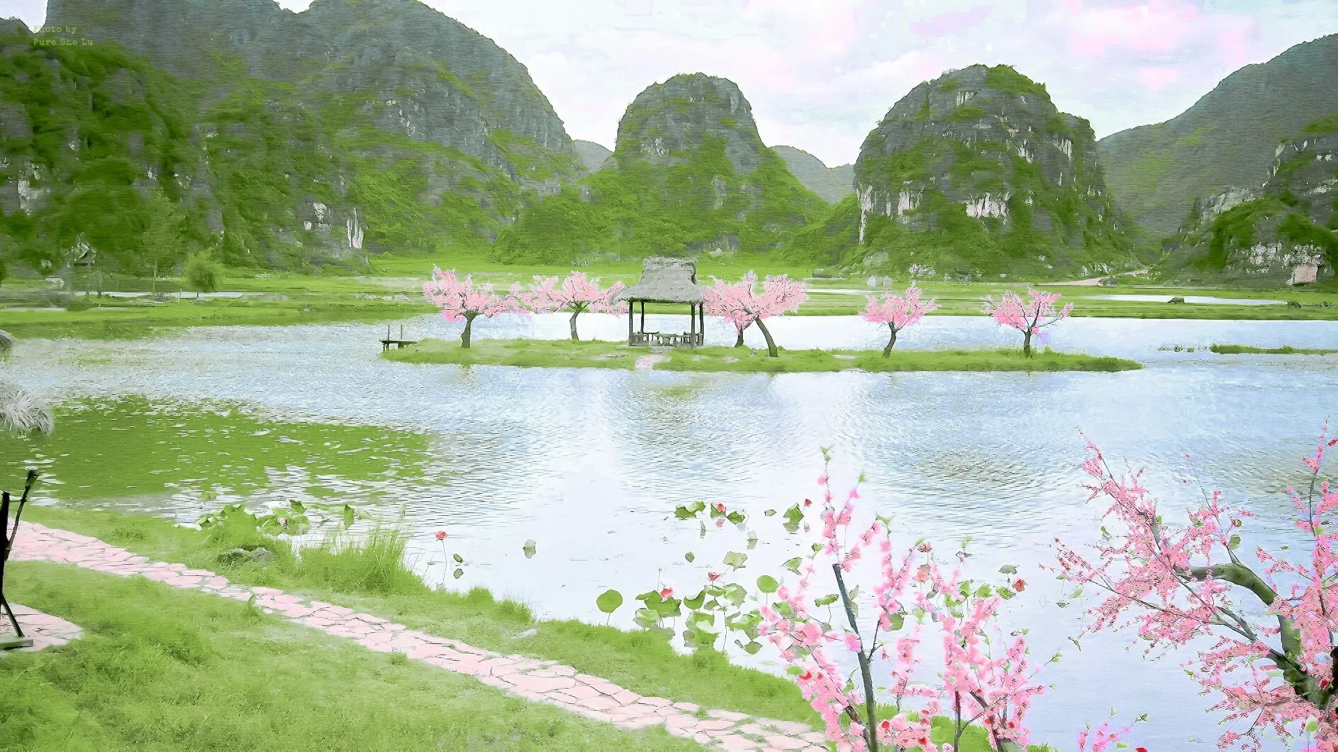 一组好明艳亮丽的姑姑啊～