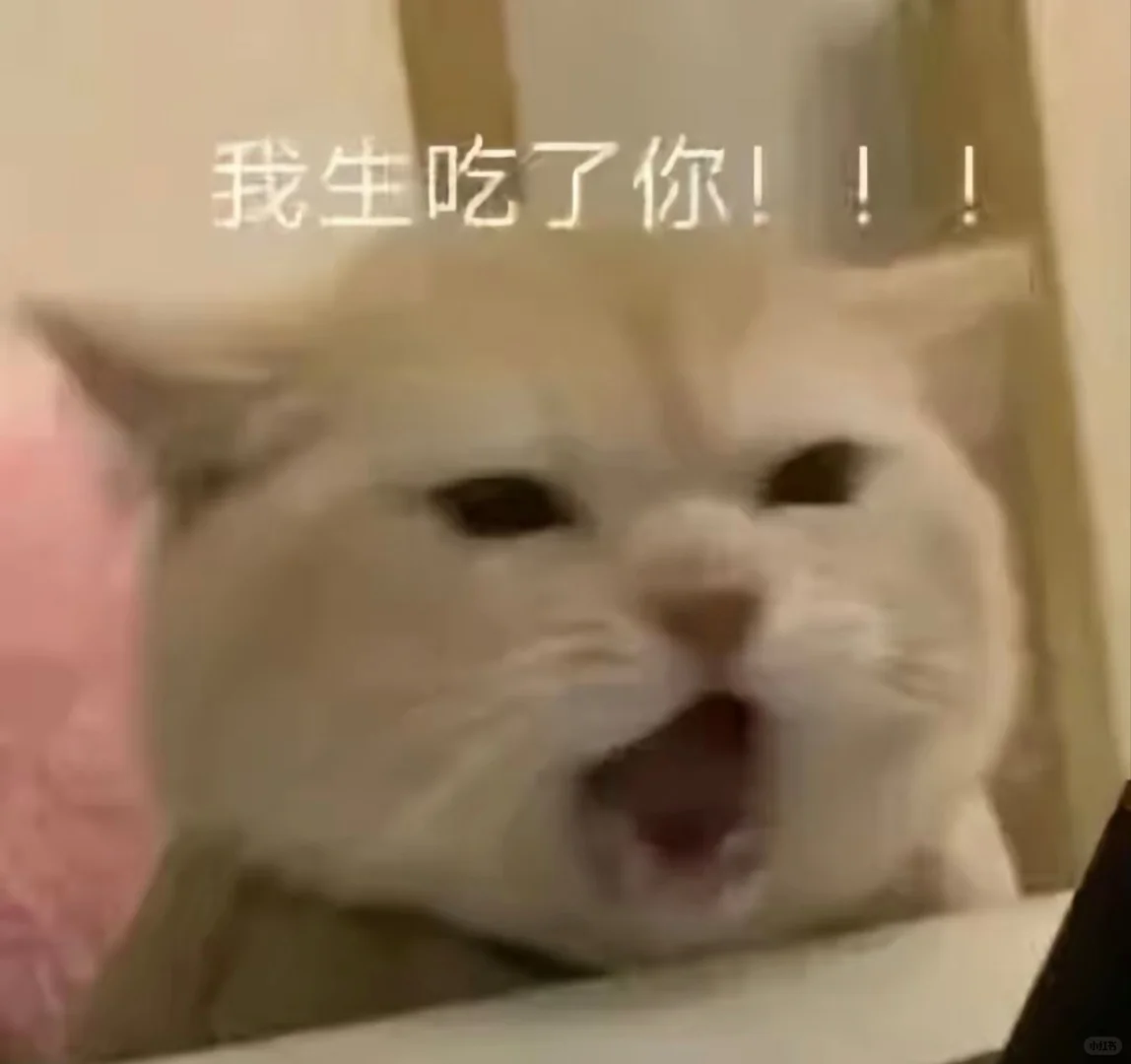 可爱猫咪表情包分享！