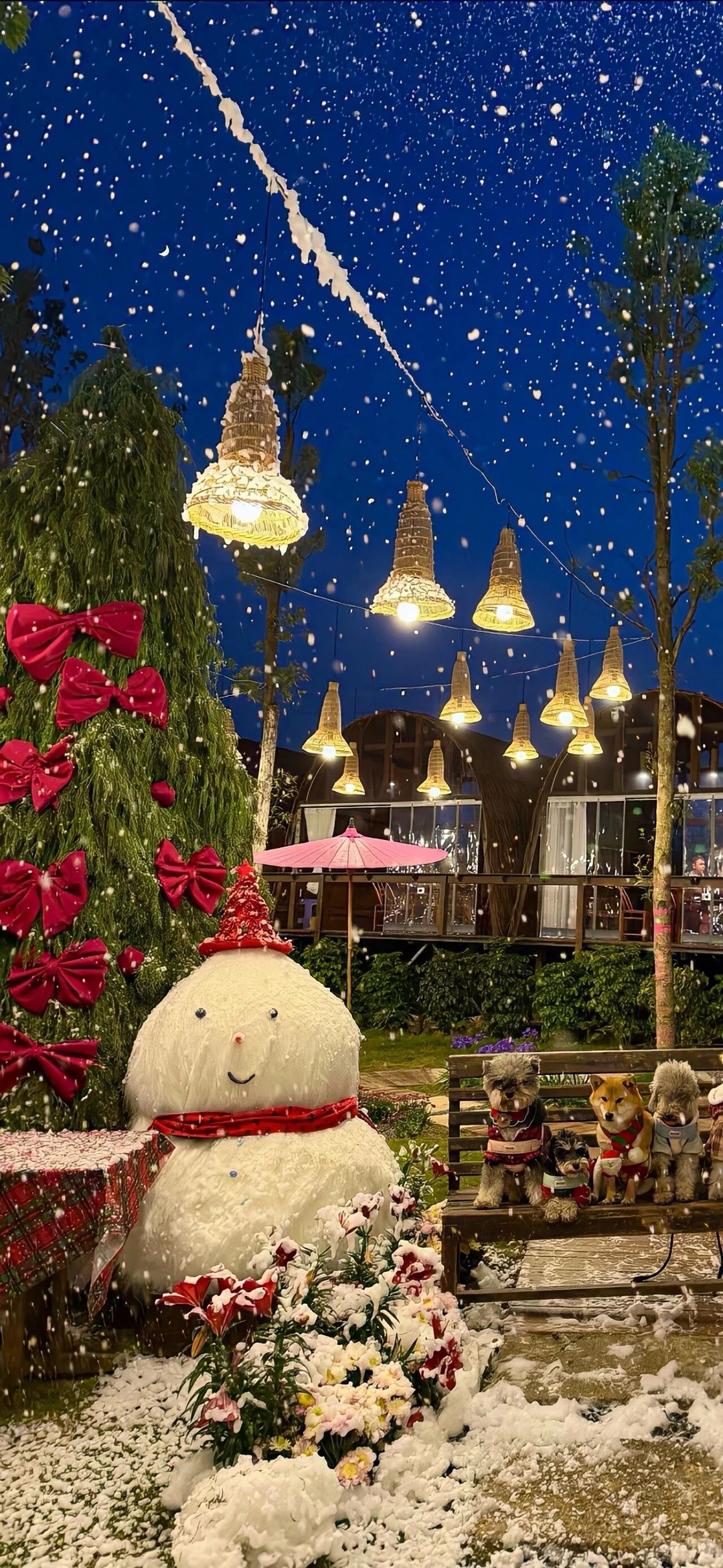 Share/圣诞壁纸第一弹12.16🎄