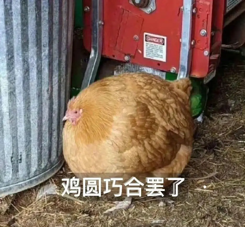 12.4实用表情包分享｜表情包分享