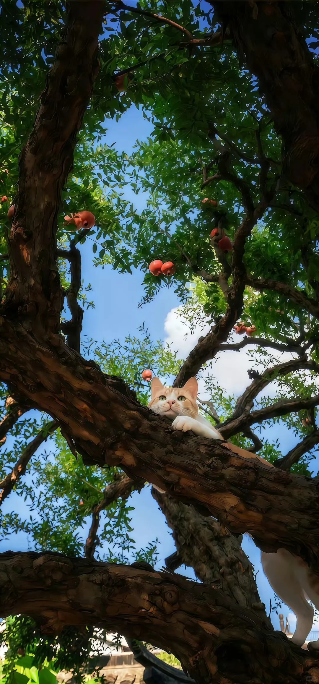 这些壁纸，太好看了｜手机锁屏壁纸