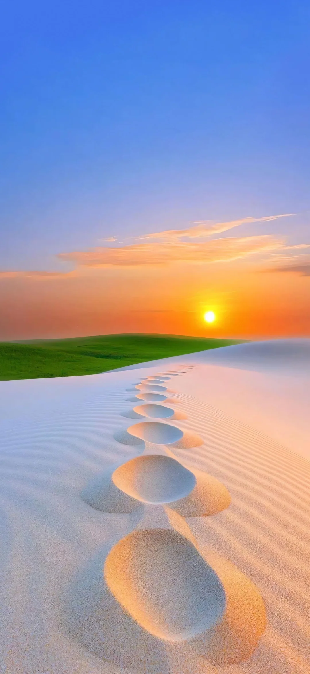 𝑠ℎ𝑎𝑟𝑒|沙漠🏜️系壁纸