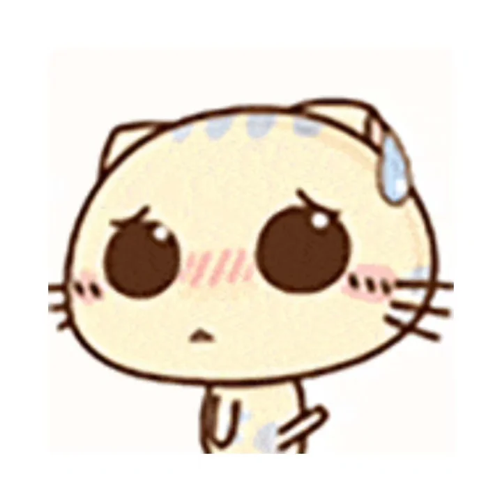 CC猫表情包｜这一路的麻辣鲜香只有自己知道