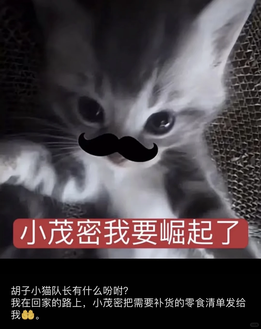 人夫黎深会把老婆发的表情包存在相册