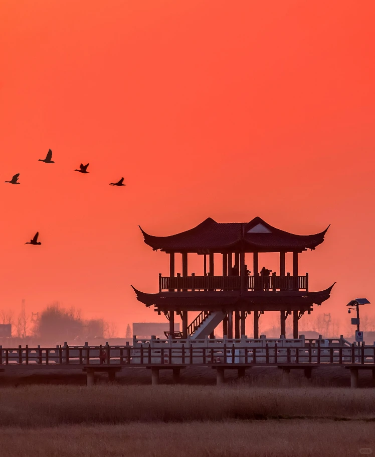 超级绝美的壁纸！