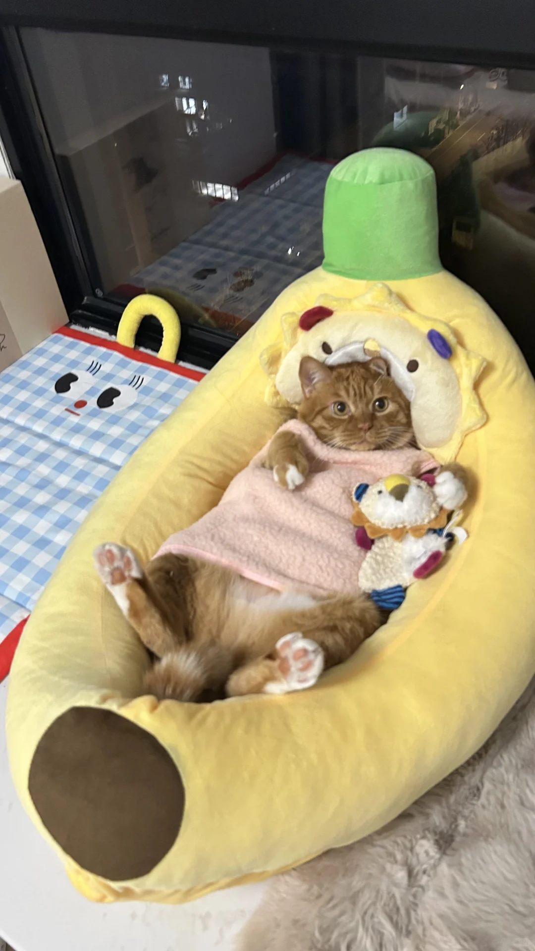 粉色娇嫩四郎我来穿了