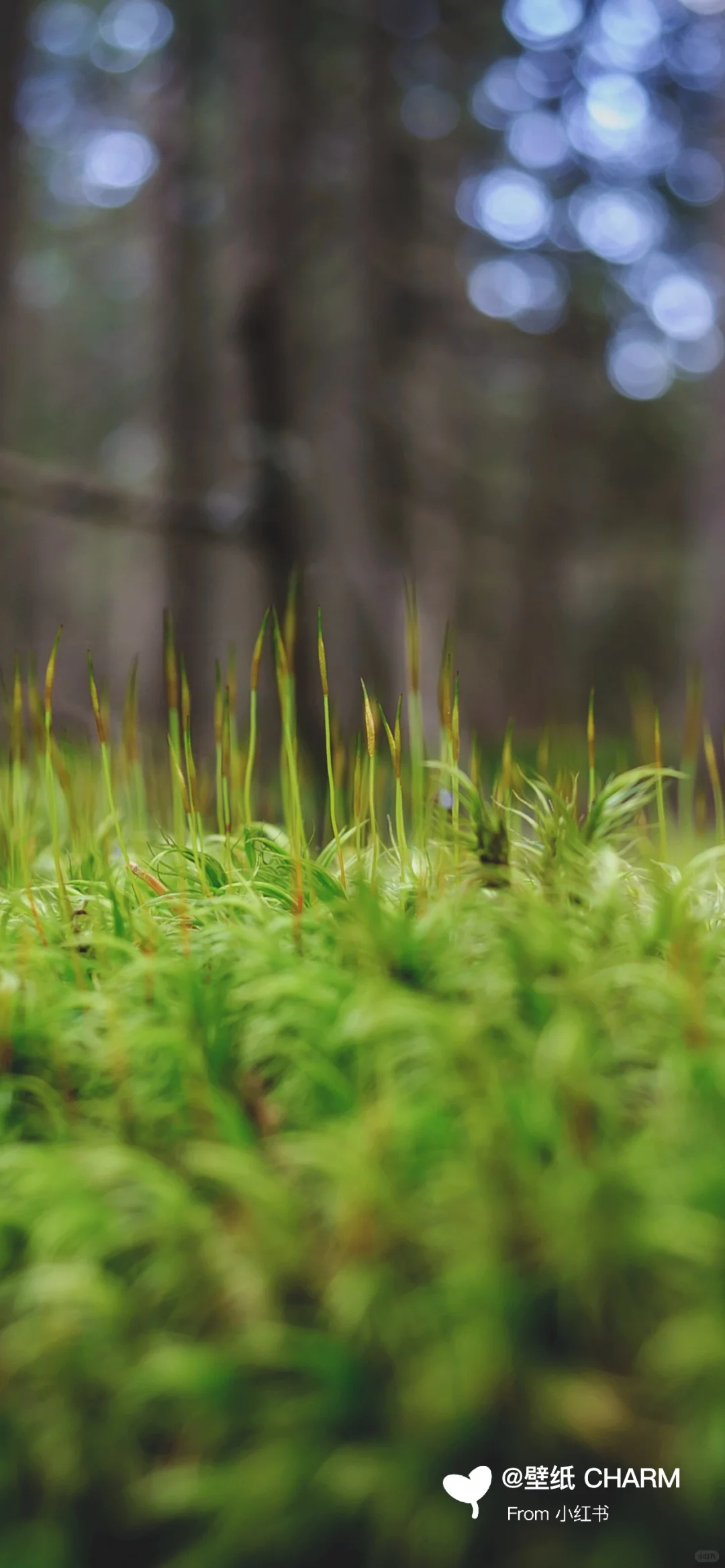 每日原图壁纸分享 ｜ 1220