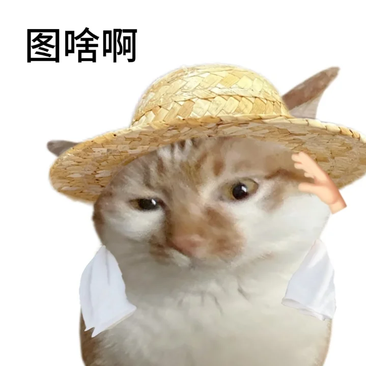 老实人专用表情包献给各位