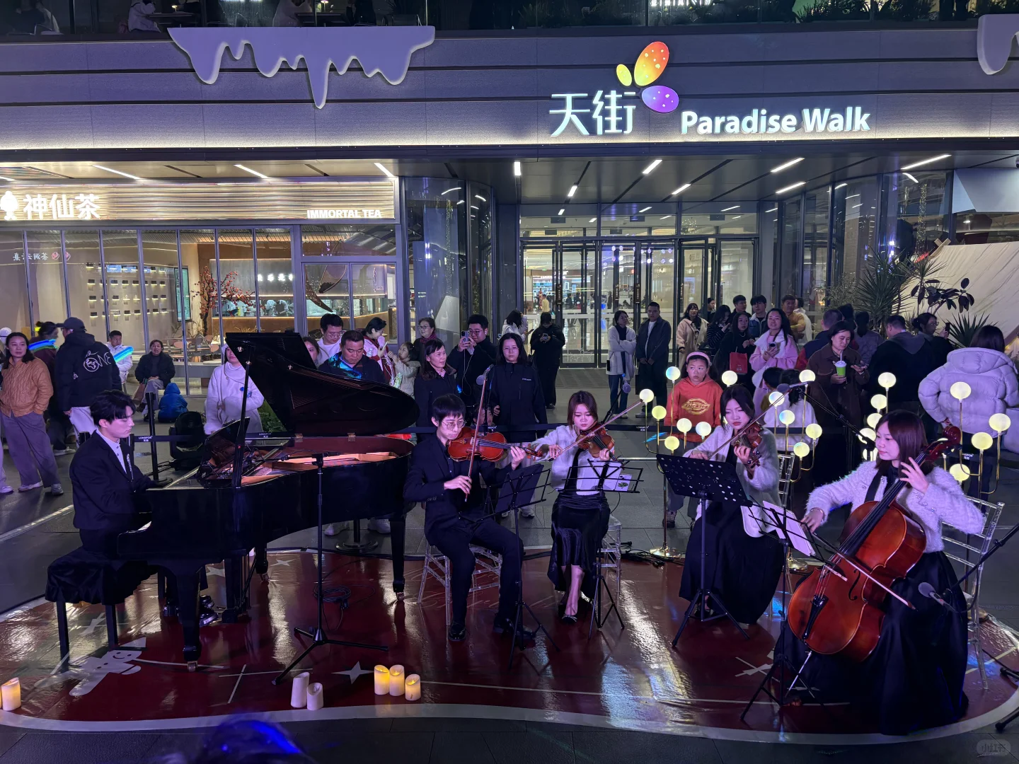 老板请吃漂亮饭🎄