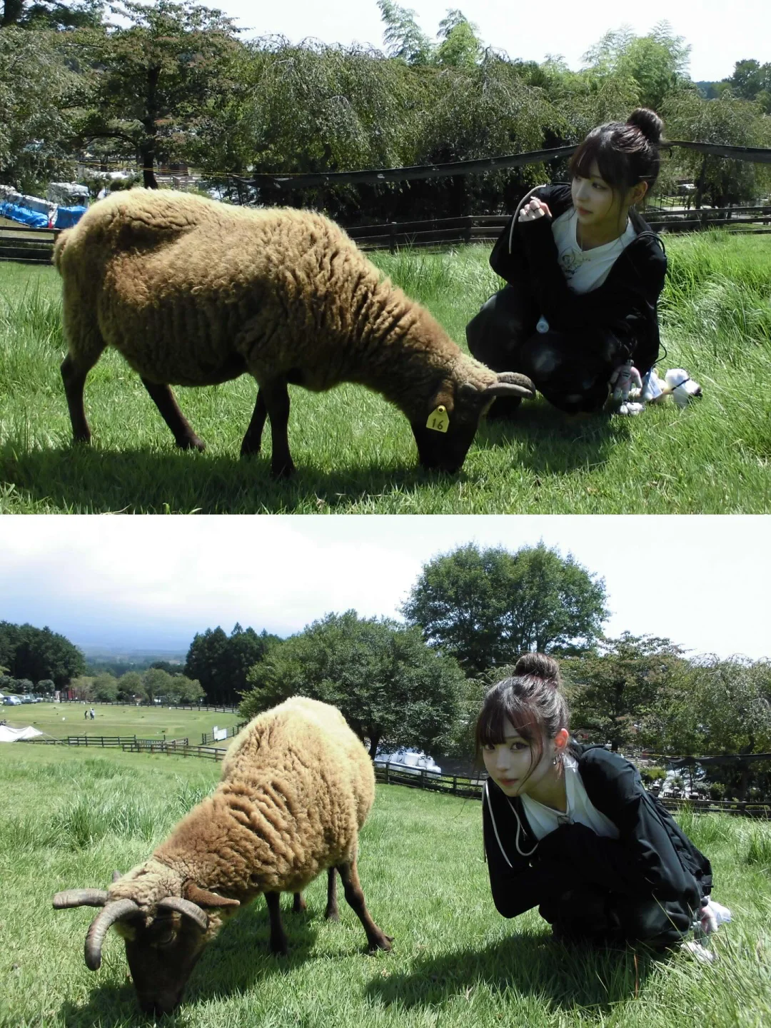 此女简直是中日韩通吃的风格