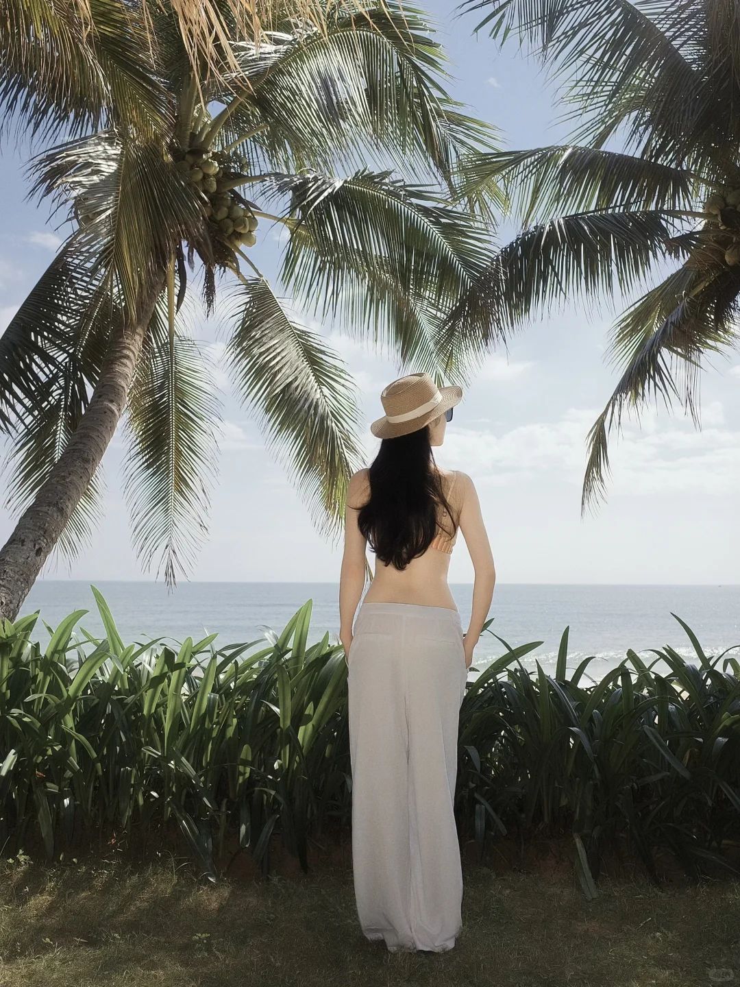 永远为海岛着迷🏝️