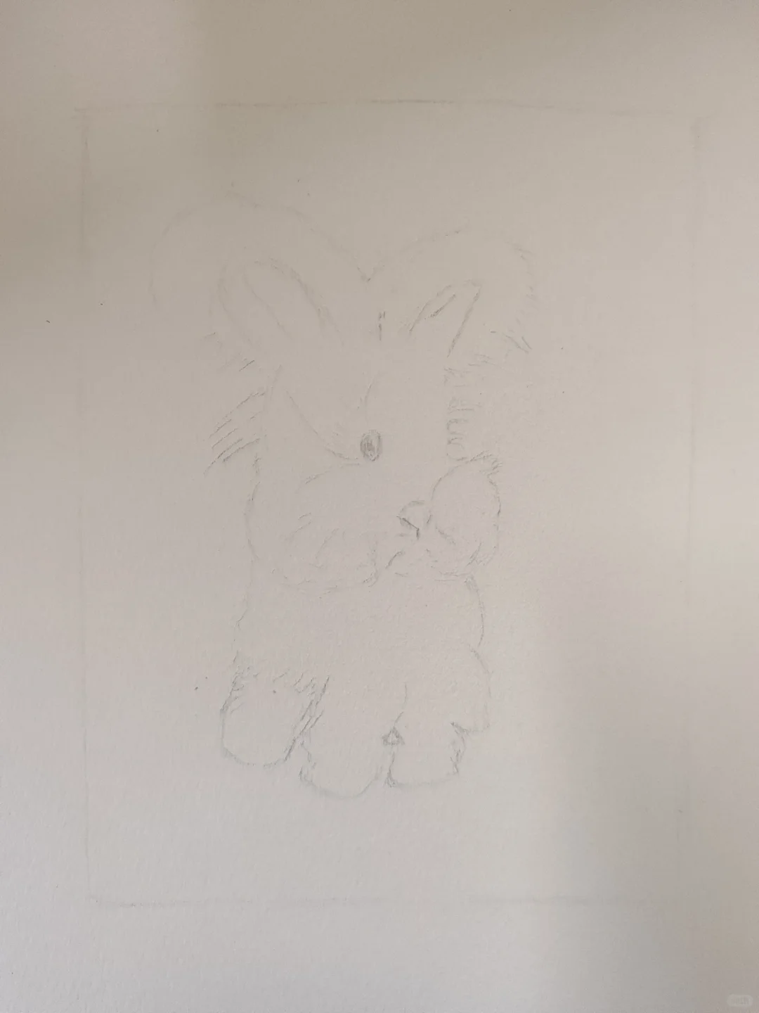 主人，带我回家咯~～