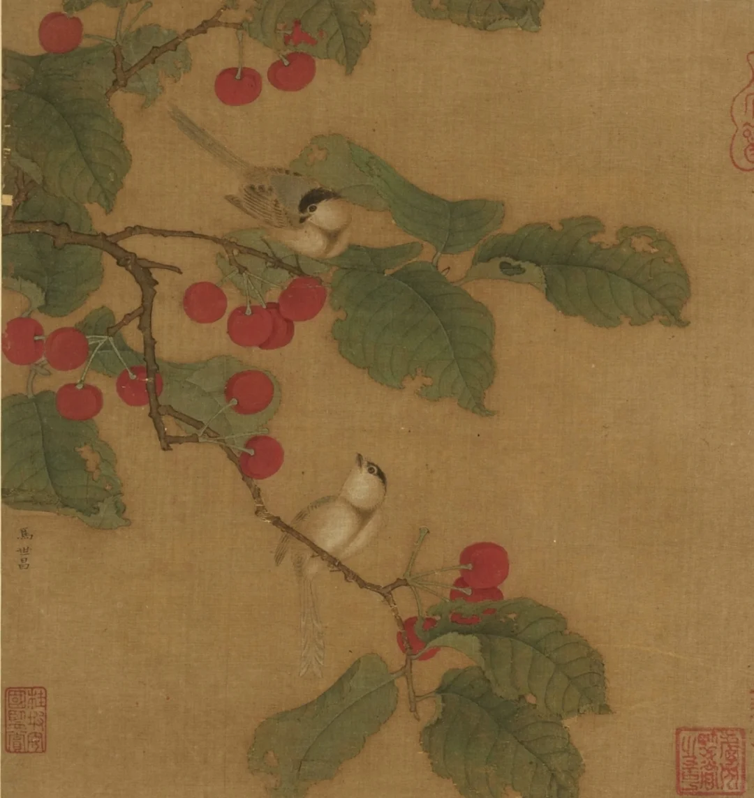 樱桃黄雀图（线稿自取）