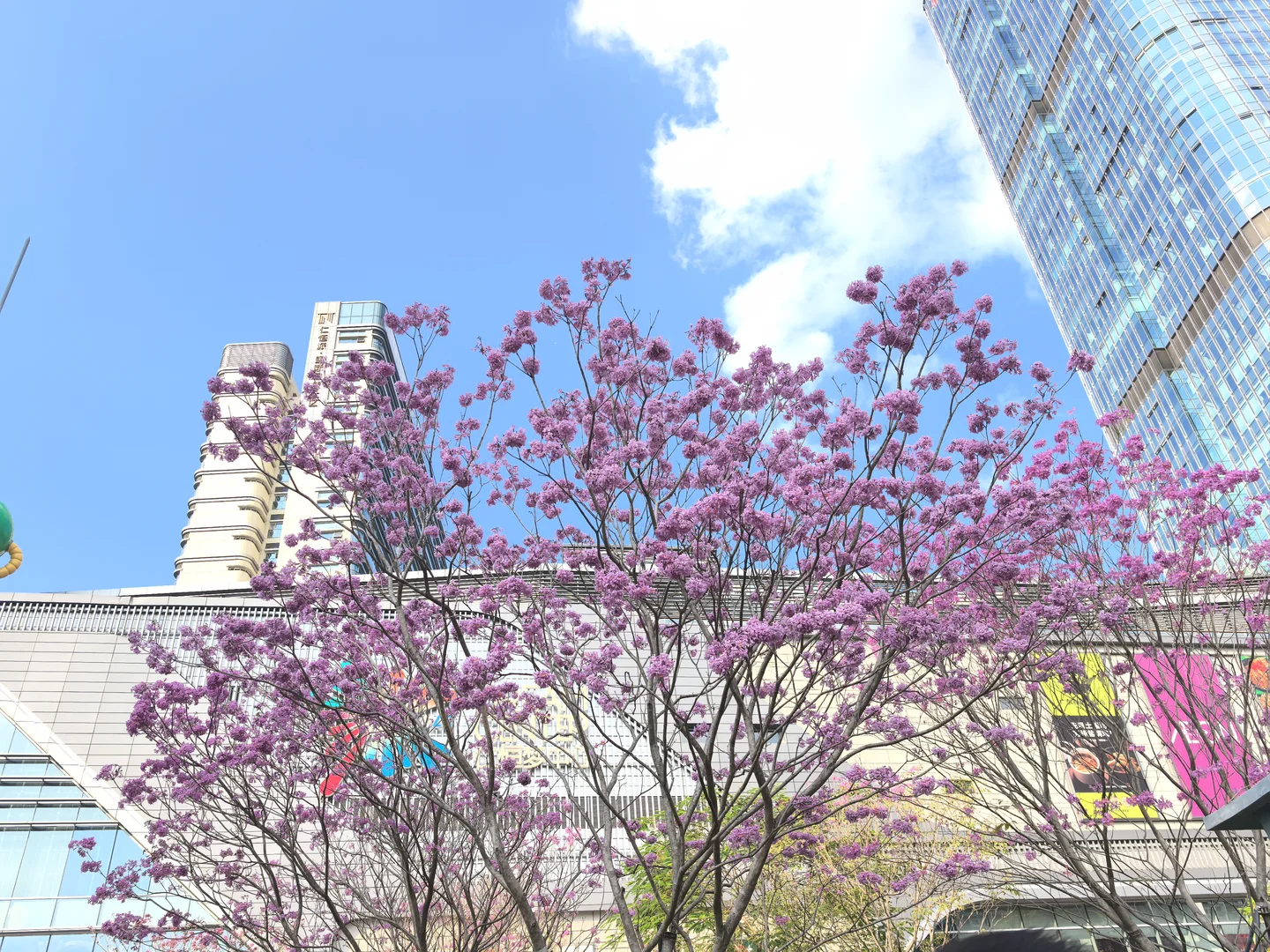 周末愉快，冬至安康