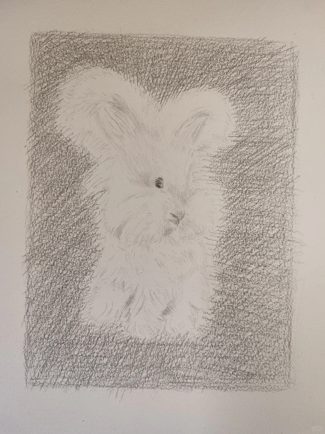 主人，带我回家咯~～