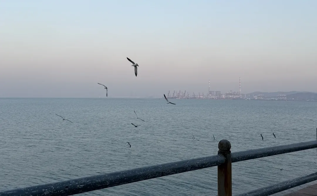 178 150斤｜微胖胯宽｜海边